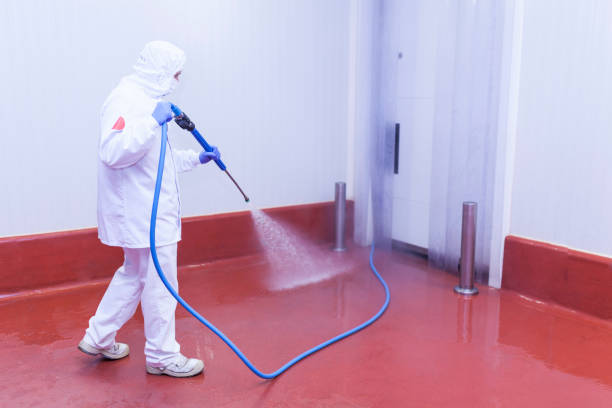 Boat and Dock Cleaning in Debary, FL