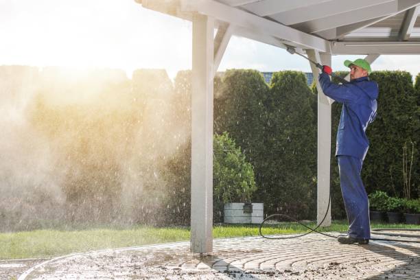 Best Sidewalk and Walkway Cleaning  in Debary, FL